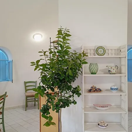 펜션 Capobianco Wild Glamping 푼타브라쎄토